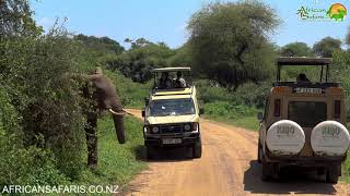 Lake Manyara National Park Tanzania [upl. by Clementina]