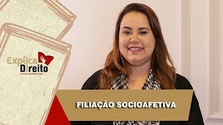 Explica Direito Filiação Socioafetiva  2019 [upl. by Onilegna115]