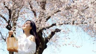 さくらさくら  Sakura Sakura  Japanese traditional folk song [upl. by Singleton]