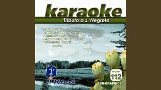 Peregrina Karaoke Version [upl. by Anayd]