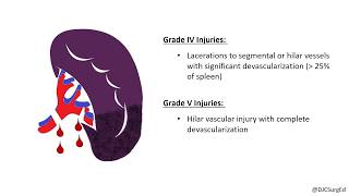 Splenic Injury [upl. by Aranat]