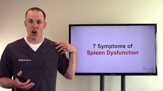 7 Symptoms of Spleen Dysfunction [upl. by Anzovin]