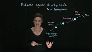 Brandls Basics Prokinetic Drugs Metoclopramide [upl. by Dodwell199]