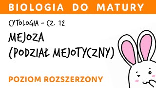 Cytologia 12  Mejoza podział mejotyczny  biologia rozszerzona przygotowanie do matury z biologii [upl. by Regine]