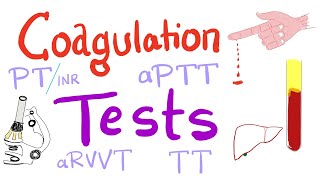 Coagulation Tests  PT aPTT TT Fibrinogen Mixing Studies [upl. by Thorrlow919]