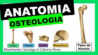 ▌ANATOMÍA ▌OSTEOLOGIA ▌ TIPOS DE HUESOS Y CLASIFICACIÓN ▌💀 [upl. by Akemal]