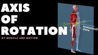 Understanding Axes of MovementRotation [upl. by Willet]