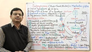 Diabetes Mellitus Part10 Mechanism of Action of Sulfonylurease  Antidiabetic Drugs  Diabetes [upl. by Hsima]