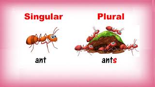 Singular and Plural Nouns  Class 1  CBSE [upl. by Amaryl]