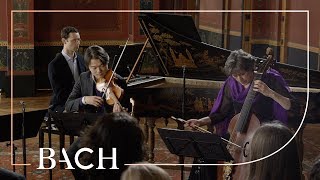 Bach  Trio sonata in G major BWV 1038  Netherlands Bach Society [upl. by Murvyn44]