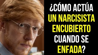 ¿Cómo expresan los NARCISISTAS ENCUBIERTOS la IRA NARCISISTA [upl. by Suivart]