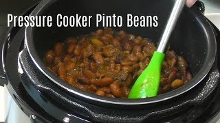 Pressure Cooker Pinto Beans  No Soak Quick Cook Beans  Cosori 2 Quart Electric Pressure Cooker [upl. by Eatnom]