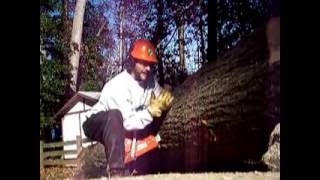 Chainsaw Boring Cut otherwise called a Plunge cut [upl. by Cy30]