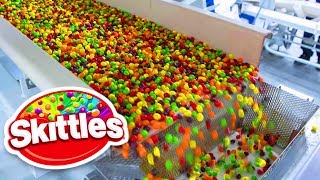 10 Skittles Facts That You Never Realized [upl. by Neeluqcaj]