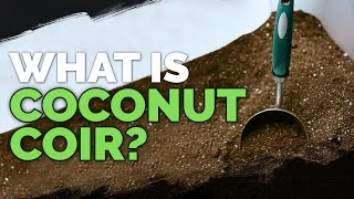 Coconut Coir What it is and How To Use It In The Garden [upl. by Ikkiv391]