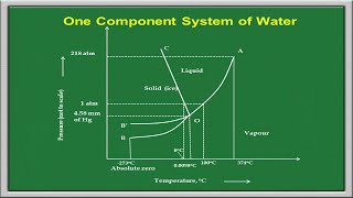 Phase Rule  One Component System [upl. by Henarat]