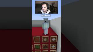 WALLIBEAR TAKES ON MOB ARENA gaming ⁠youtube funny minecraft memes tiktok shorts ytshorts [upl. by Aerdnaz]