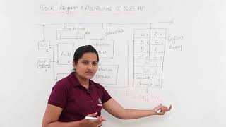 Block Diagram amp Architecture Of 8085 Microprocessor [upl. by Mellins]